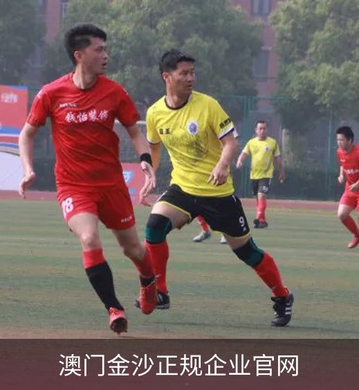 走进澳门金沙正规企业官网